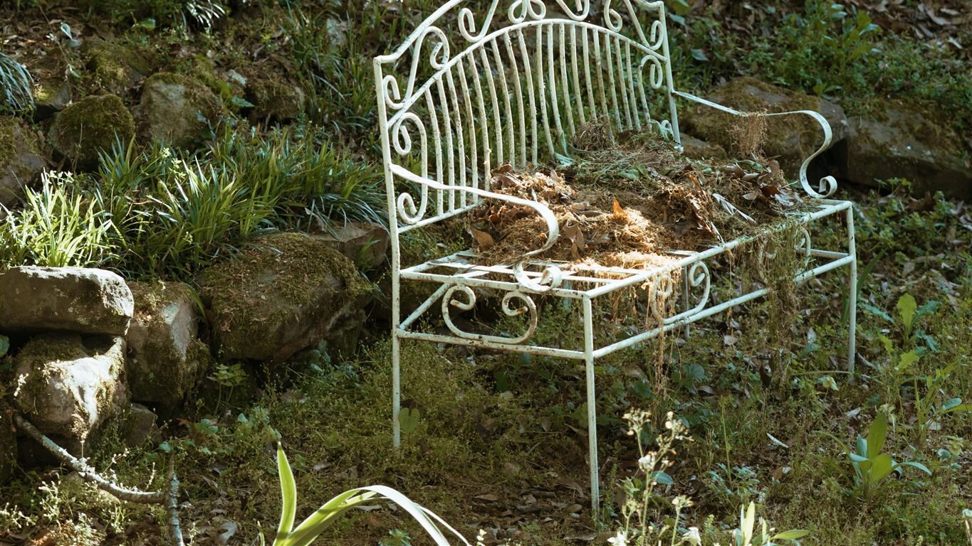 A rusting pale-green metal bench is positioned in front of leafy bushes. A pile of plants dries on the bench.